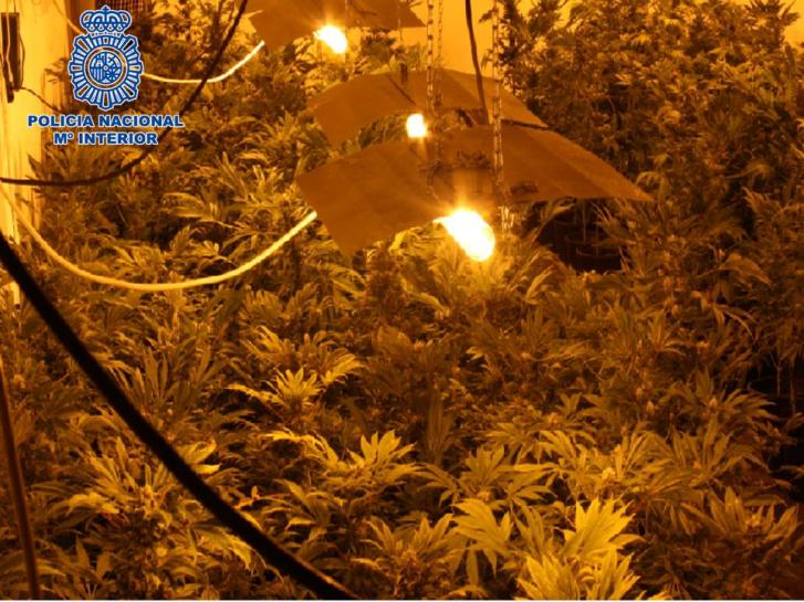 La Policía Nacional desmantela en Granada una nave industrial dedicada al cultivo de marihuana a gran escala