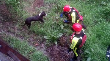 El equipo de rescate del cuerpo de Bomberos socorre a un perro arrastrado por el río a la altura de la Colonia de San Sebastián