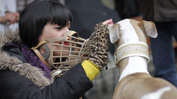 Granada pide a la Junta que no obligue a que los perros de más 20 kilos tengan que llevar bozal