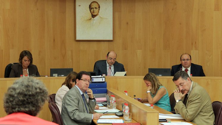 El pleno se ha celebrado este jueves en la Diputación de Granada. Foto: Dipgra