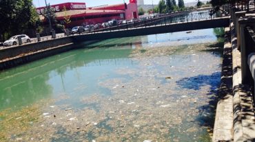 Cuenca exige al PP la limpieza "inmediata" del río Genil