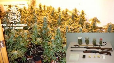 Detenidas tres personas por tener una plantación 'indoor' de marihuana en su vivienda