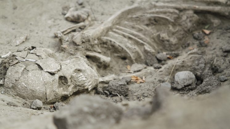 Uno de los restos óseos que han sido hallados en la zona. Foto: Álex Cámara