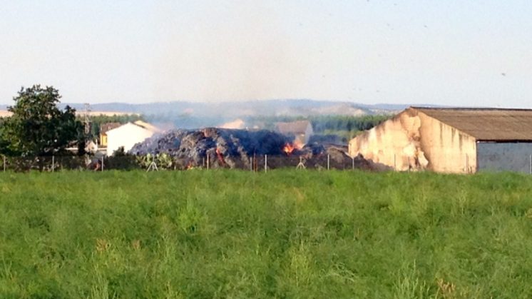 Un incendio en Fuente Vaqueros quema la alpaca de una cooperativa