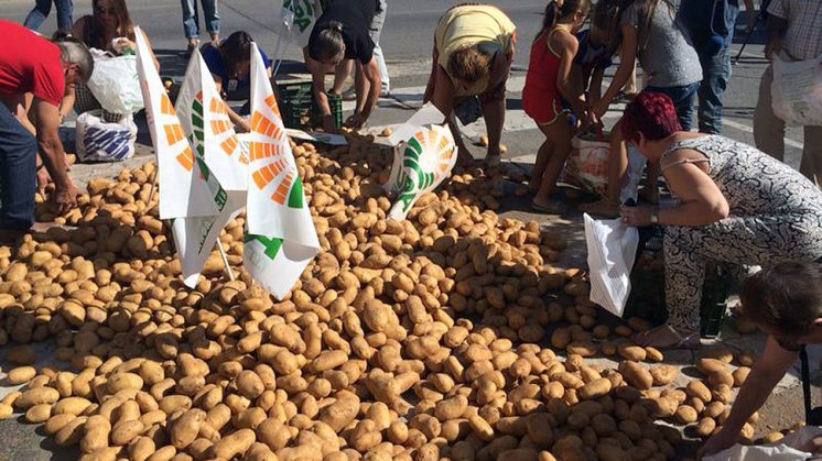 Ciudadanos han ido a recoger las patatas tiradas. Foto: aG