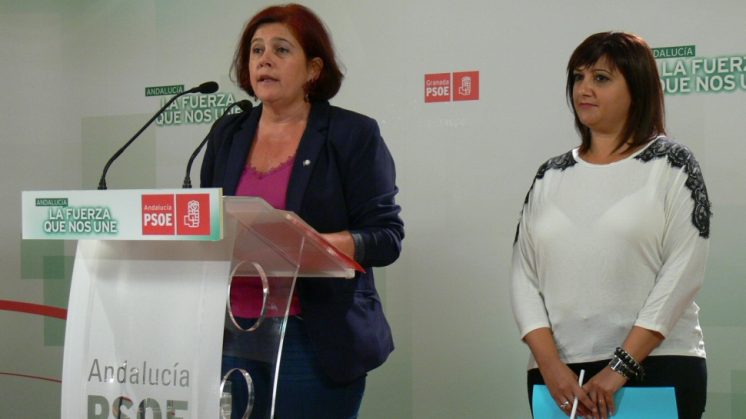 Elvira Ramón ha valorado la decisión como un triunfo de todas las mujeres y también del conjunto de la sociedad. Foto: aG.