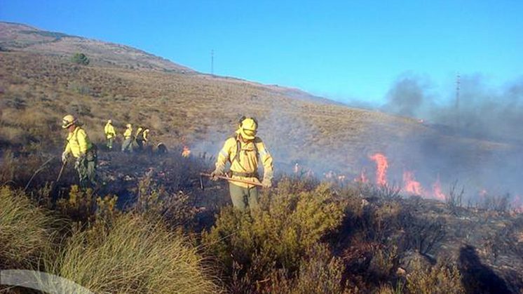 El incendio está localizado en el término municipal de Lanjarón. Foto: Infoca