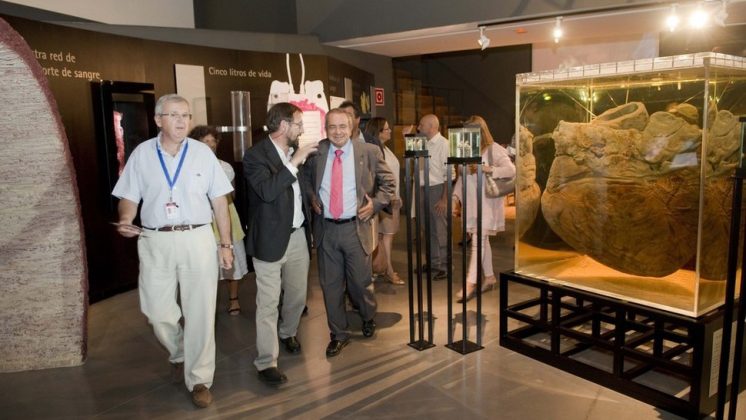El pabellón 'Viaje al Cuerpo Humano' ha sido uno de los espacios que más interés han despertado en el presidente del CSIC. Foto: aG
