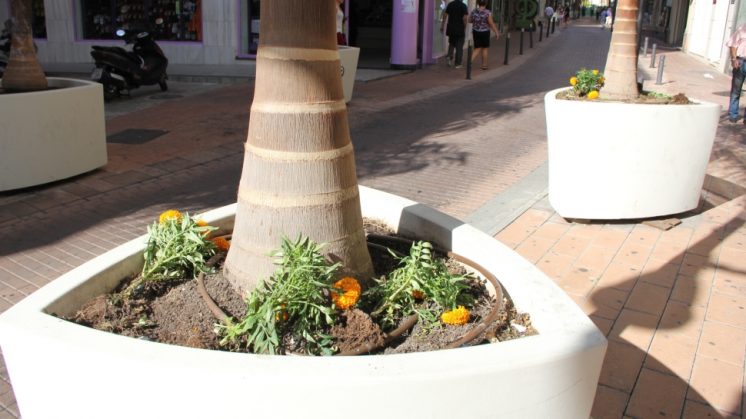 Actos vandálicos en las plantas ornamentales de Marqués de Vistabella.  Foto: aG.