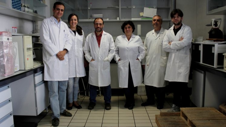 Miembros del grupo de investigación de Biofísica y Biotecnología Molecular de la Universidad de Granada que participan en este estudio. Foto: aG.