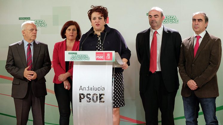 La secretaria general de los socialistas granadinos junto a los diputados y senadores del partido. Foto: aG