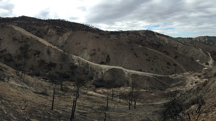 La zona afectada por el incendio de Cenes de la Vega. Foto: Luis F. Ruiz