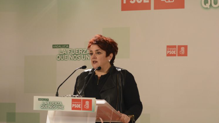 La secretaria general del PSOE, Teresa Jiménez, en rueda de prensa. Foto: Alberto Franco