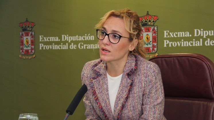 La Diputación reclama a la Junta los 14 millones de euros que adeuda a la provincia en materia de Dependencia