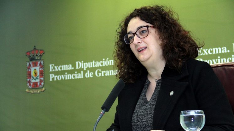 Diputación lamenta que la Junta adeuda desde marzo 1,5 millones de euros a sus centros asistenciales