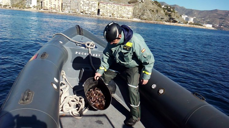 La Guardia Civil sorprende a dos mariscadores ilegales en Almuñécar