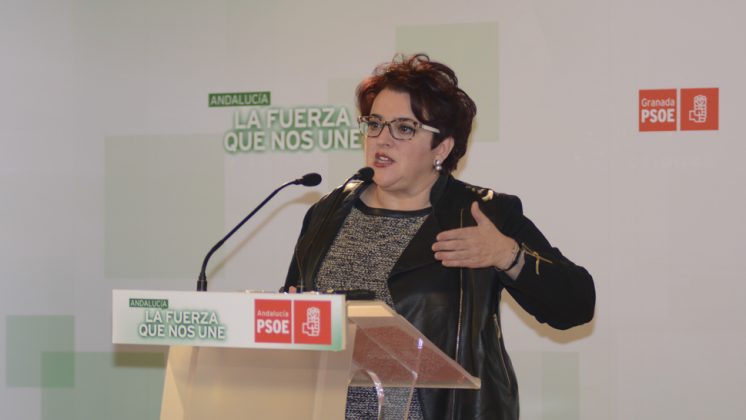 La secretaria general del PSOE, Teresa Jiménez, encabeza la lista. Foto: Alberto Franco
