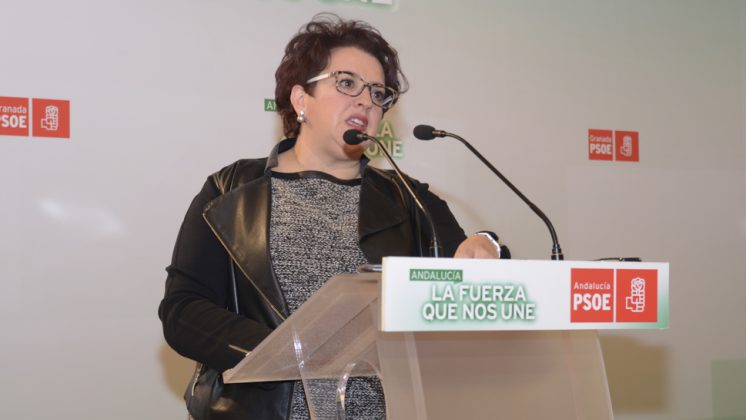 La secretaria general del PSOE granadino, Teresa Jiménez, en rueda de prensa. Foto: Alberto Franco