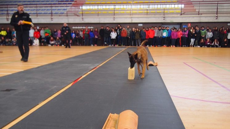 Exhibición canina para prevenir el consumo de drogas en Ogíjares
