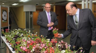 La Diputación de Granada recibe a la primavera con el reparto de plantas de flor criadas en el vivero provincial