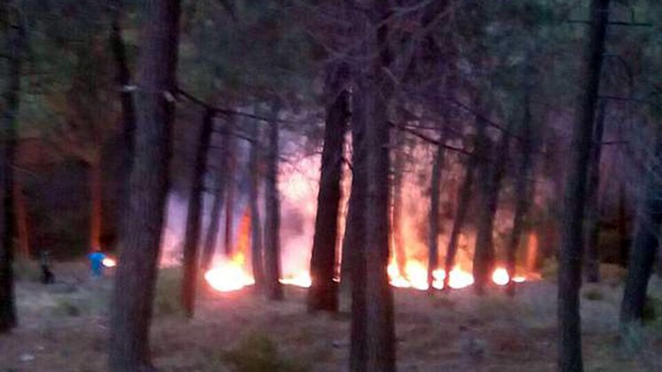 Imagen de los primeros instantes del incendio, en pleno paraje de Cumbres Verdes. Foto: Asvogra