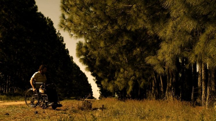 'Los pies en la tierra' es una película argentina, del director Mario Pedernera, que narra la historia de un hombre, Juan, que a sus 33 años, vive solo con su madre, Francisca, en una isla del Delta. Foto: aG
