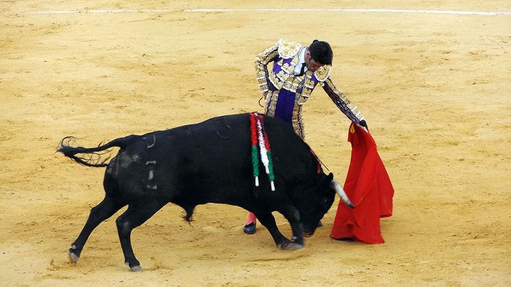 Talavante, durante la lidia del primer toro de su lote. Foto: M.G.