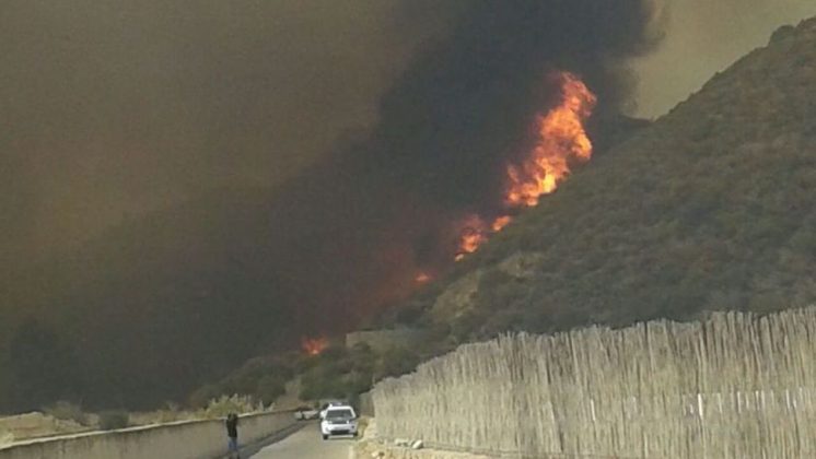 Las llamas siguen debastando el alcornocal entre Gualchos y Lújar. Foto: aG