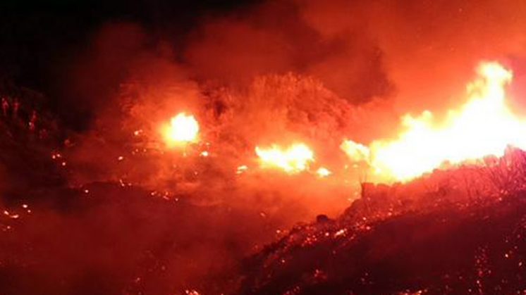 El incendio se produjo pasadas las 23.00 horas. Foto: Infoca