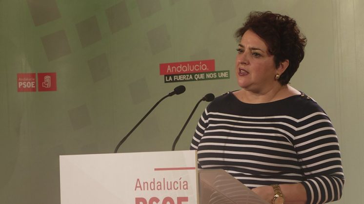 Teresa Jiménez ha comparecido ante los medios en la sede del PSOE. Foto: aG.