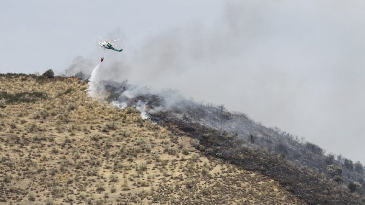El incendio registrado en Cenes de la Vega en septiembre fue el más importante en la comarca. Foto: Álex Cámara