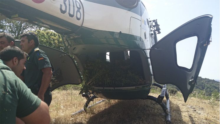 Para la localización de las plantaciones y su posterior corta e intervención, la Guardia Civil ha utilizado vehículos y motocicletas todo terreno así como medios aéreos. Foto: Guardia Civil