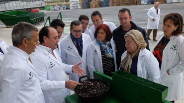 El PSOE apuesta por modernizar el sector agrario para mejorar la comercialización y la competitividad
