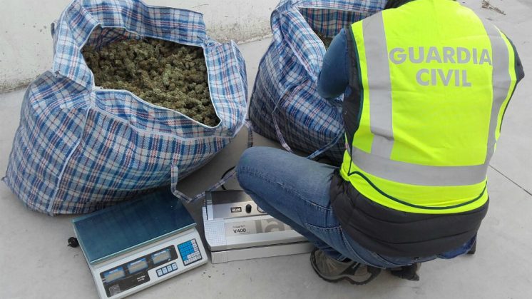 La Guardia Civil ha intervenido veinticinco kilos de marihuana en el registro. Foto: Guardia Civil | aG