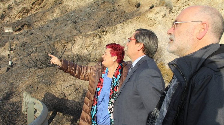 Diputación traslada su respaldo a los municipios afectados por el incendio en la Alpujarra