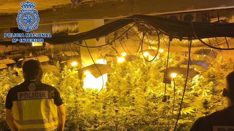 Detenidas tres personas y desmantelada una plantación de cannabis en una finca de Motril