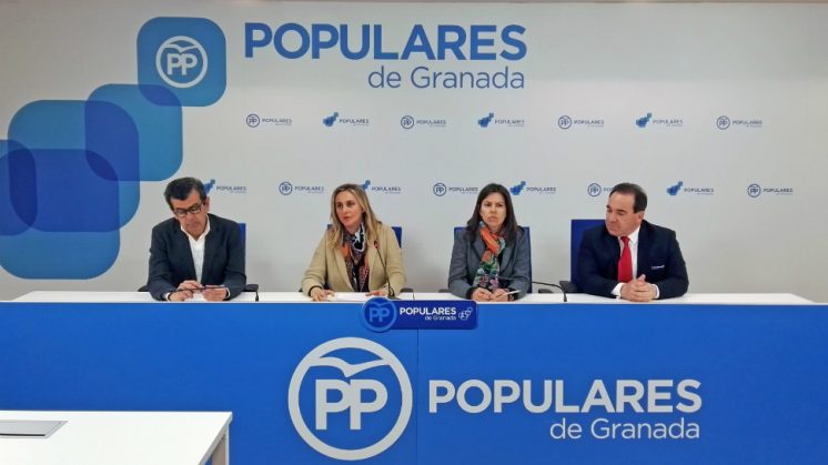 La parlamentaria del PP Ana Vanessa García ha definido estos últimos meses como "el año de las frustraciones". Foto: aG