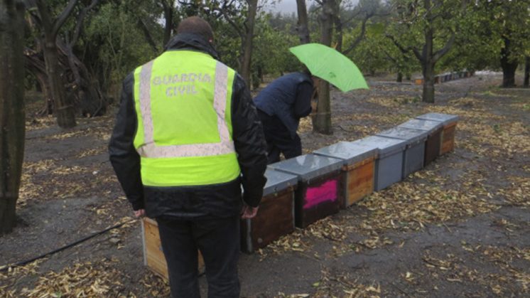 Las colmenas estaban instaladas en una finca en el paraje Las Ánimas. Foto: aG / Guardia Civil