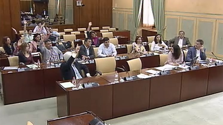 La propuesta consiguió ocho votos a favor, insuficientes ante los nueve que votaron en contra. Foto: Captura del Parlamento