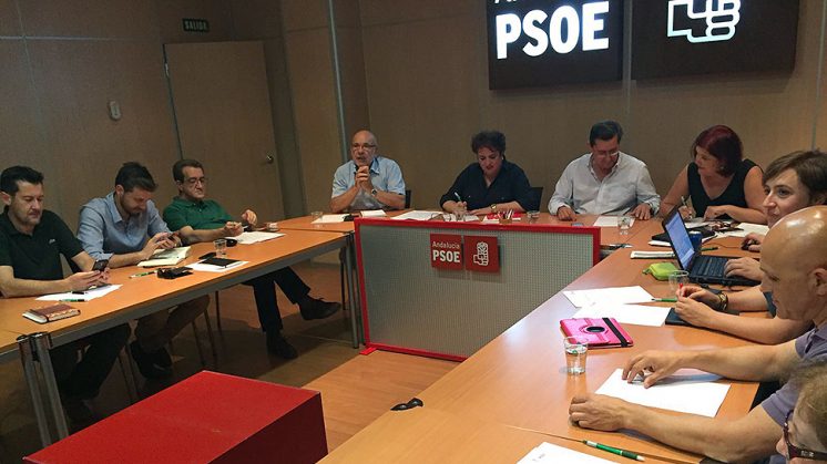 La formación apuesta por "un análisis crítico" de los resultados de las Elecciones. Foto: PSOE