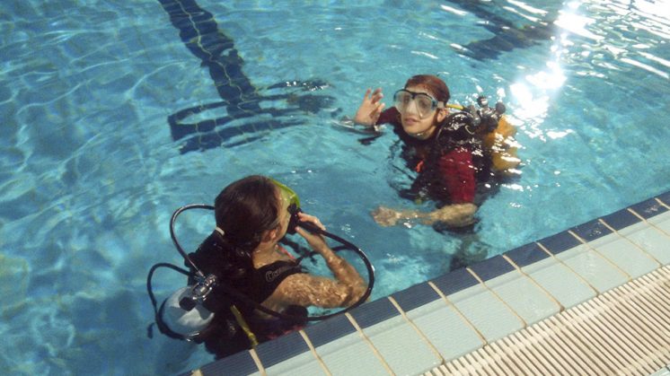Los participantes y sus acompañantes tendrán la oportunidad de realizar inmersiones con botella durante unos 15 minutos. Foto: aG