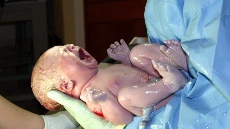Una niña recién nacida, justo después del parto. Foto: Di Ernest F – Wikimedia (Remitida UGR)