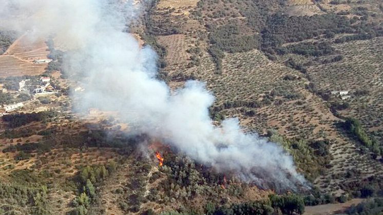Seis medios aéreos trabajan en la extinción del fuego. Foto: Plan Infoca